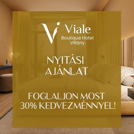 Viale Boutique Hotel Villany Ngoại thất bức ảnh